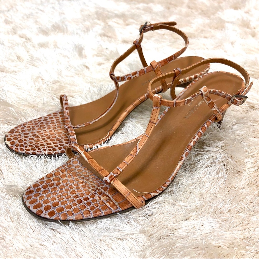 Emporium Armani Exotic Print Bombay Brown